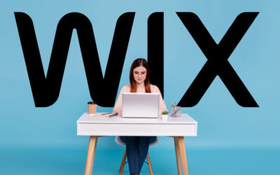 Wix annonce l’outil de trait de visibilité sur la visibilité sur l’IA et le suivi des sentiments
