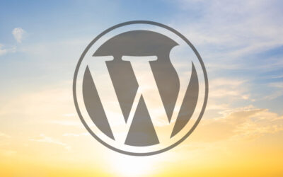 MISE À JOUR WORDPRESS 6.8.2 – met fin à la prise en charge de la sécurité pour 0,9% des sites